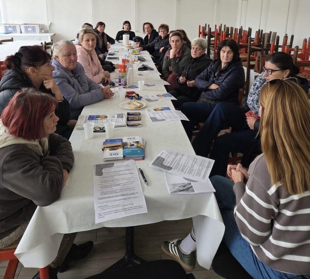 Radionica za gerontodomaćice