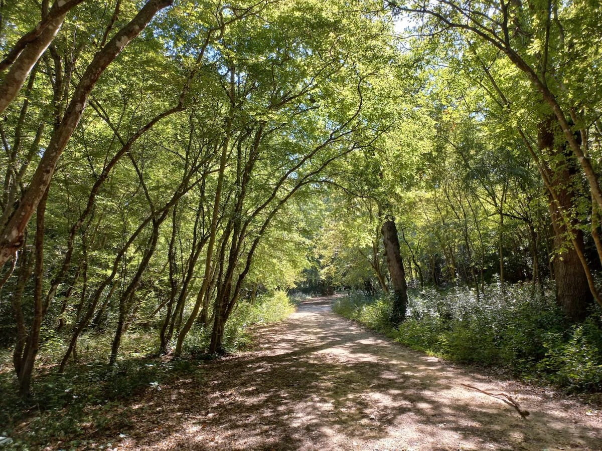 Međunarodni dan obitelji – druženje u Šijanskoj šumi